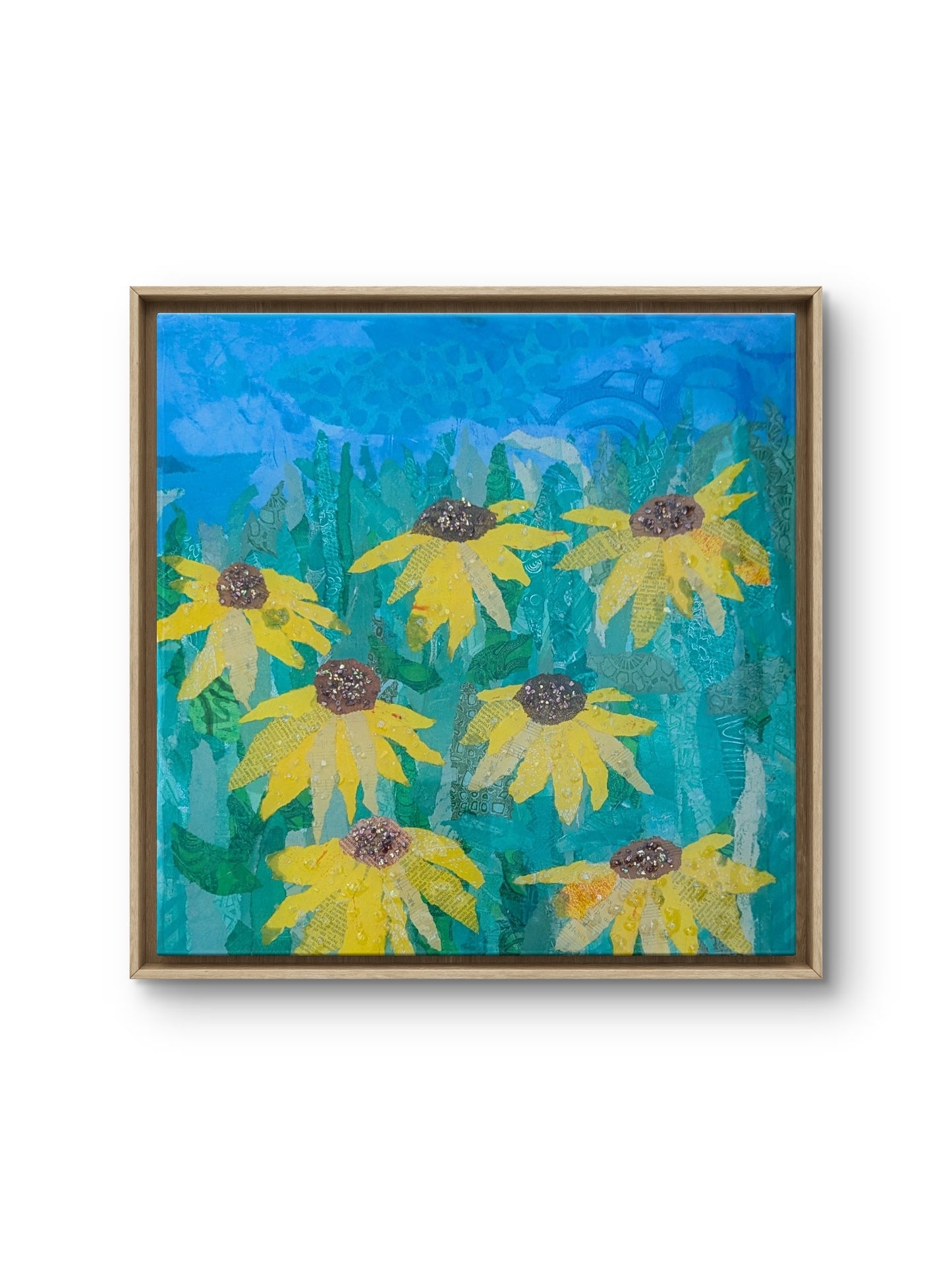 Sunlit Susans