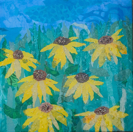 Sunlit Susans